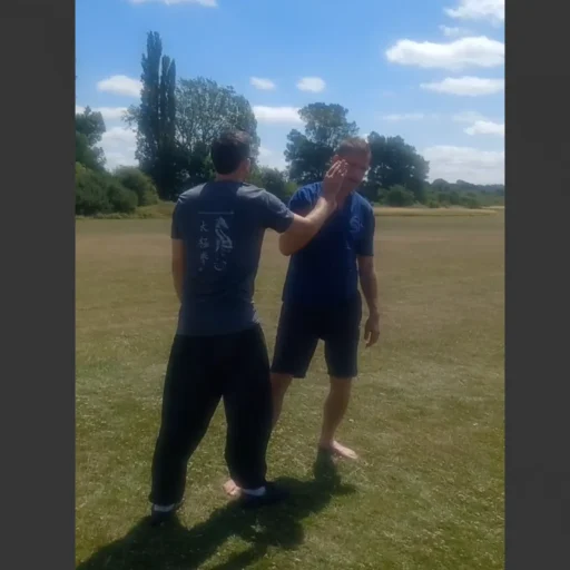 Leamington T’ai Chi and T’ai Chi Weapons July Weekend Course